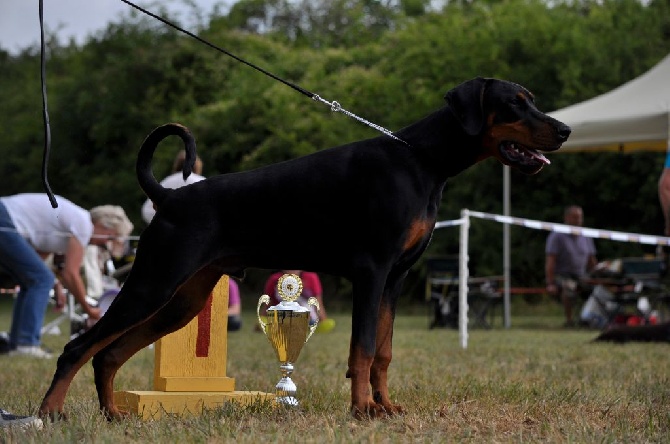 Of devil inside - Luxembourg Trophy Show