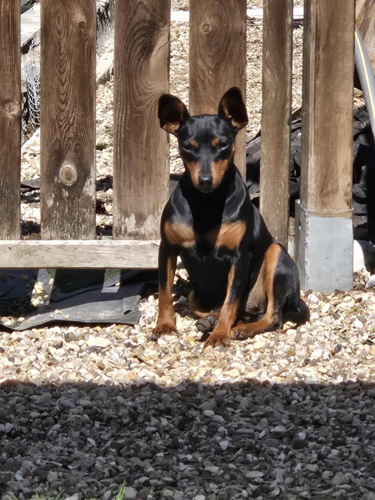 Virgin mojito Of devil inside