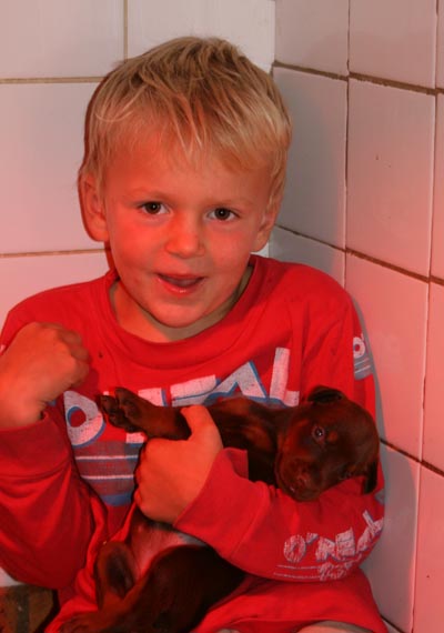 Dobs et enfants...